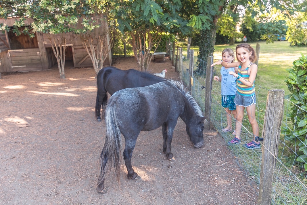 Éco-Camping La Porte d'Autan — Photo 5