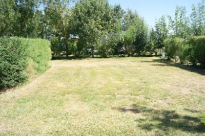 Comfort Package (1 tent, caravan or motorhome / 1 car / electricity 10A)