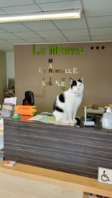 Foto #13 van Camping le Merval