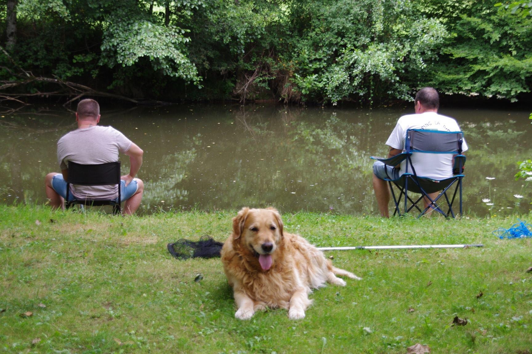 Camping Le Clupeau — Photo 5