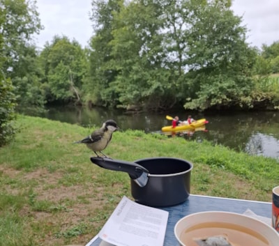 Camping pitch