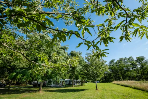 Stellplatz - Stellplatz Grandeur Nature - 110 Bis 230 M2 - image n°8 - Village Nature Zen