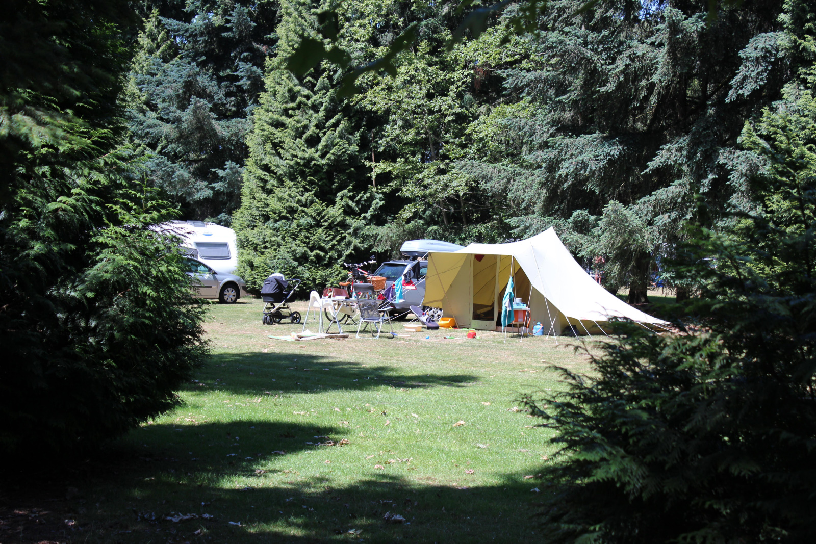 Comfortplaats (tent/caravan/vouwwagen/camper + auto + elektriciteit  )