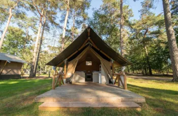 Mietunterkunft - Duo Lodge - Eurocamping Vessem