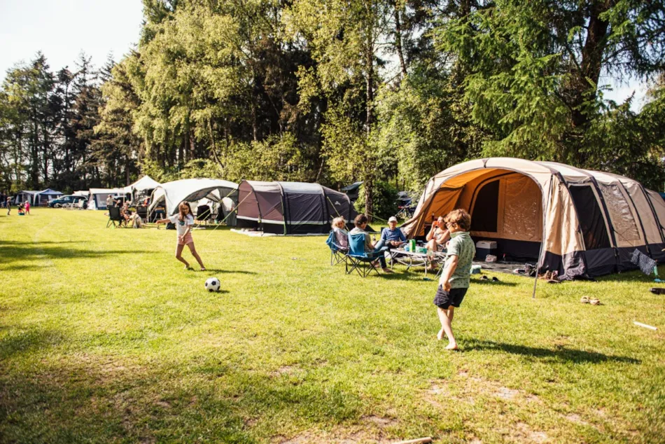 Eurocamping Vessem