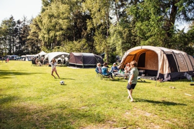 Eurocamping Vessem