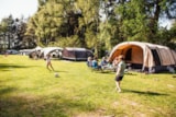 Foto #5 van Eurocamping Vessem