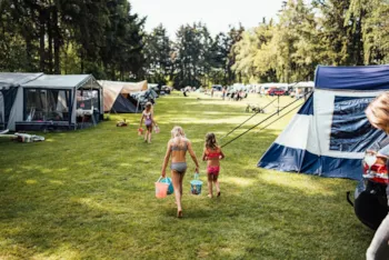 Eurocamping Vessem - MyCamping