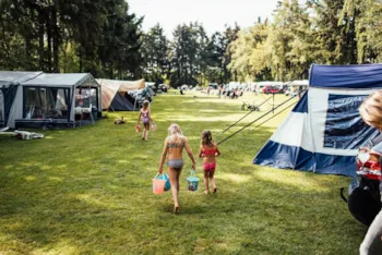 Stellplatz - Stellplatz - Eurocamping Vessem