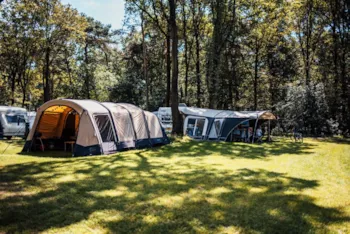 Stellplatz - Komfort-Plus-Stellplatz - Eurocamping Vessem