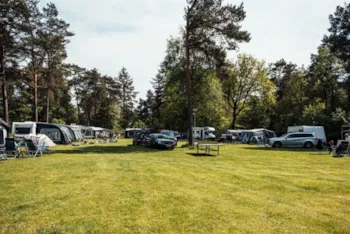 Stellplatz - Komfort-Stellplatz - Eurocamping Vessem