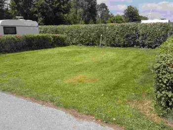 Emplacement - Emplacement : Voiture + Tente/Caravane Ou Camping-Car - Rohloff Ferienpark Buschhof