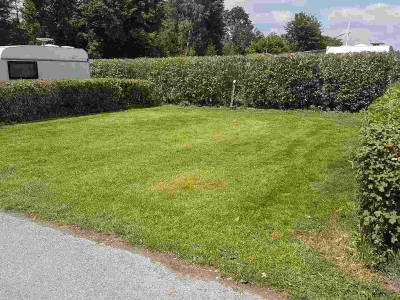 Emplacement : Voiture + Tente/Caravane Ou Camping-Car