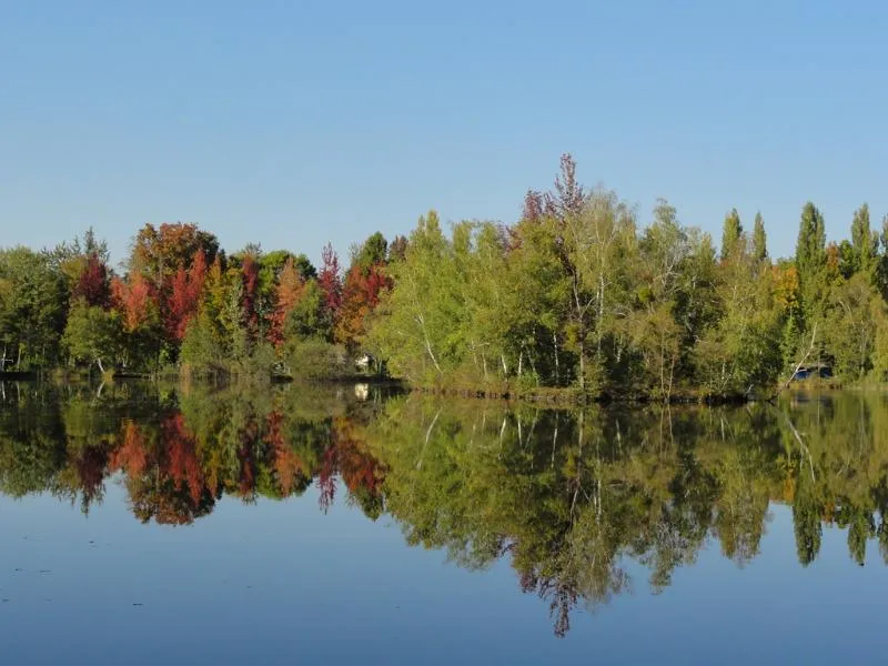 Camping L'Etang de Sologne