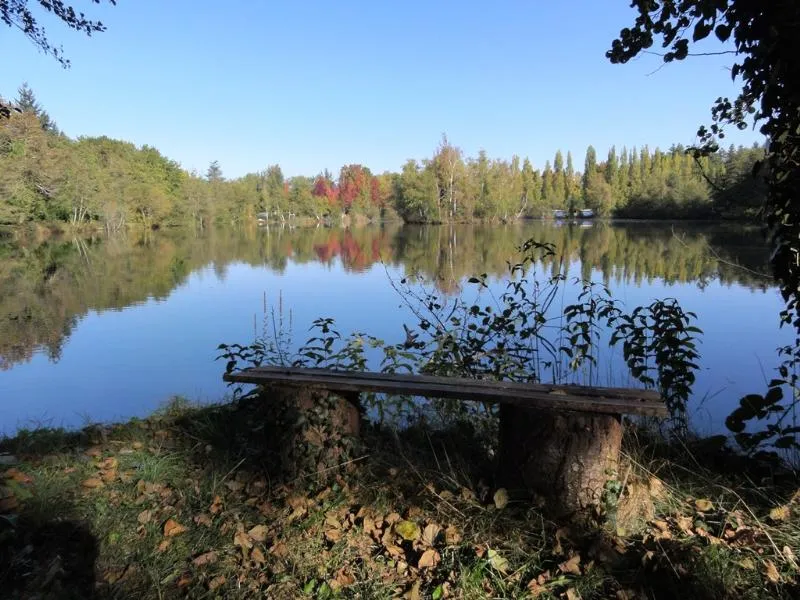 Camping L'Etang de Sologne