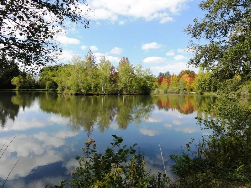 Camping L'Etang de Sologne