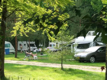 Emplacement - Emplacement Confort Avec Électricité 10A - Camping L'Etang de Sologne