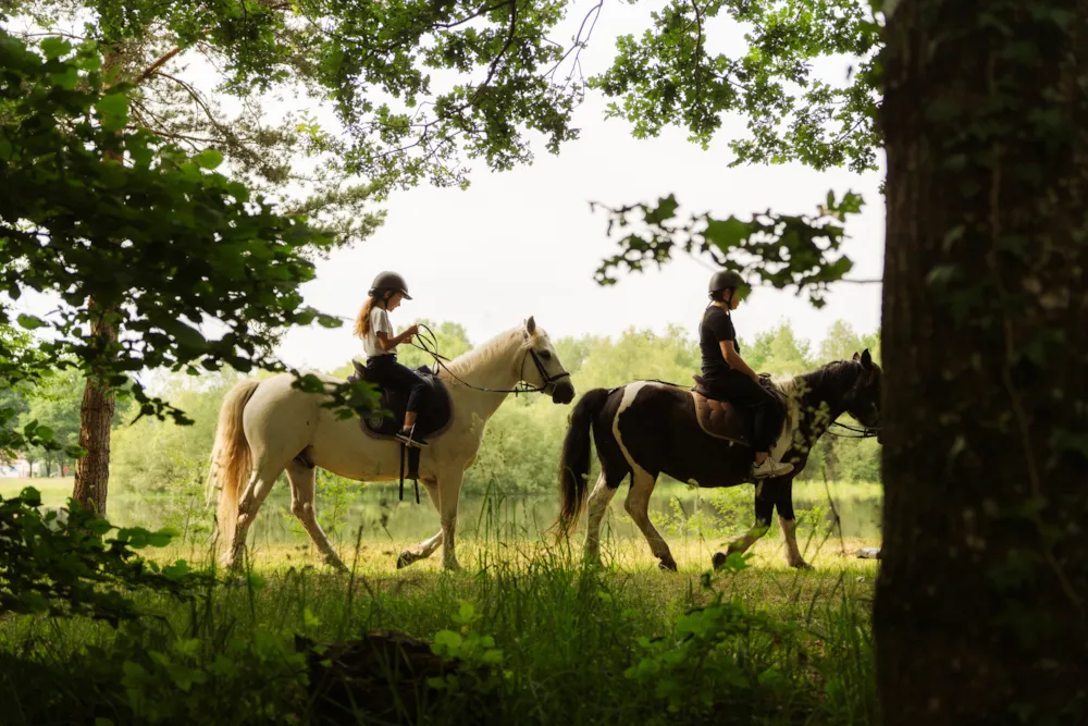Camping L'Etang de Sologne