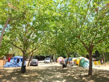 Camping Lloret Blau - MyCamping