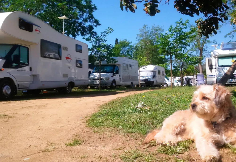 Emplacement - Emplacement Camping-Car 7M Max. - Camping Lloret Blau