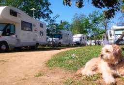 Stellplatz - Wohnmobil 7M Max. - Camping Lloret Blau