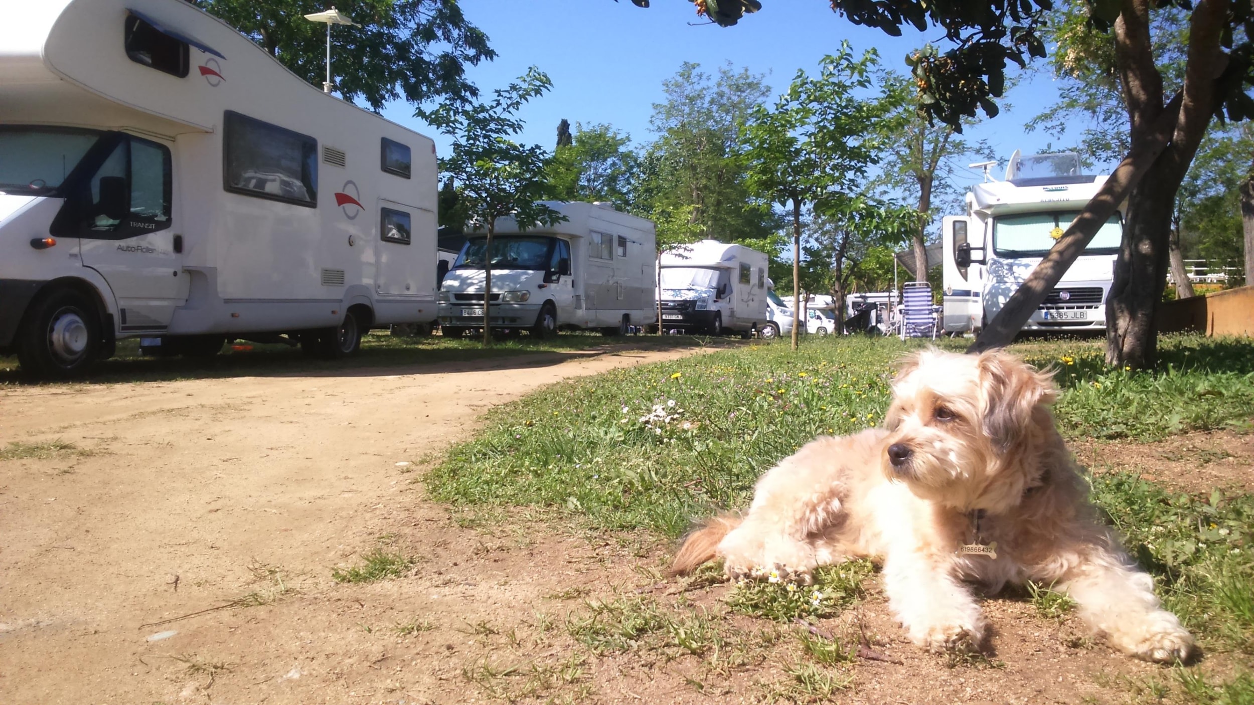 Camping Lloret Blau — Foto 7