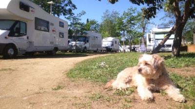 Camping Lloret Blau