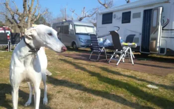 Stellplatz - Stellplatz Grosse Wohnwagen + Auto - Camping Lloret Blau
