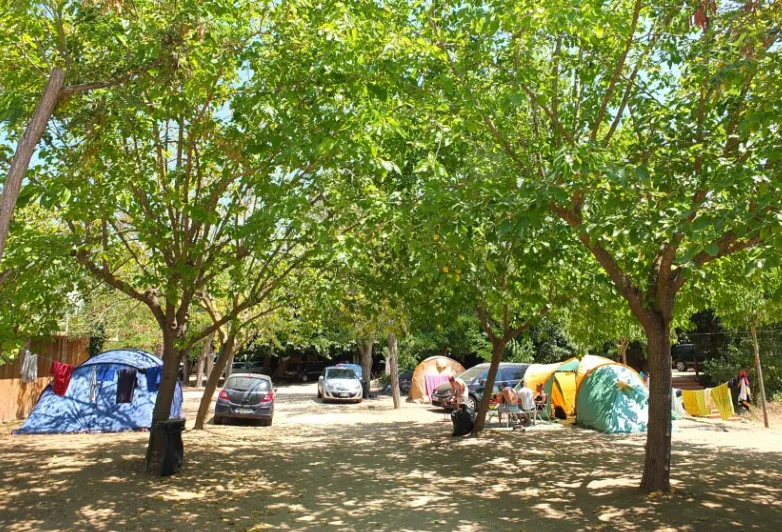 Emplacement - Emplacement Basic (Vélo + Tente, Petite Tente) - Camping Lloret Blau
