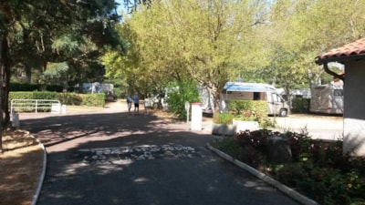 Comfort Package (1 tent, 1 caravan or 1 motorhome / 1 car / electricity)