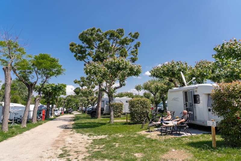 Emplacement Top du n 15 au n 29