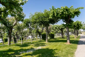 Stellplatz - Stellplatz Standard - Camping Fossalta