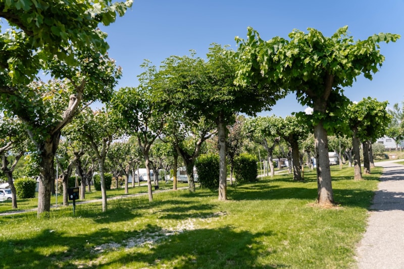 Emplacement Standard