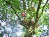 Camping Les Logeries