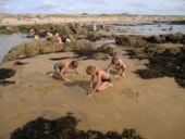 Camping Les Logeries