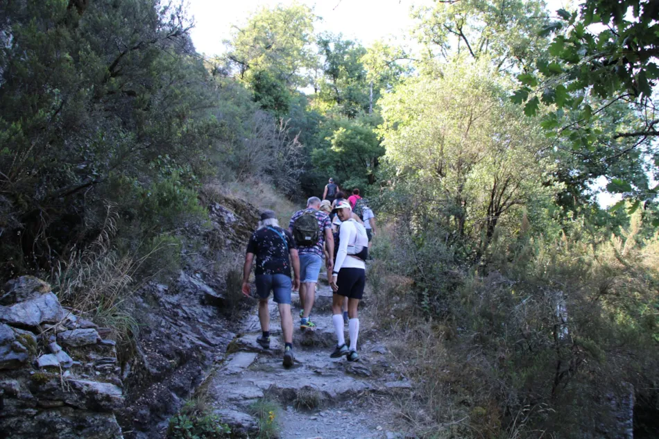 Domaine VALLEE DU TARN SN