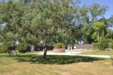 Foto #5 van Domaine des Pins