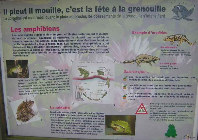 Camping Le Mont Joli Bois