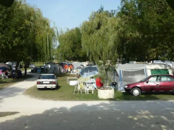 Stellplatz - Camping Stellplatz 100M² + Auto - Camping Les Vignes