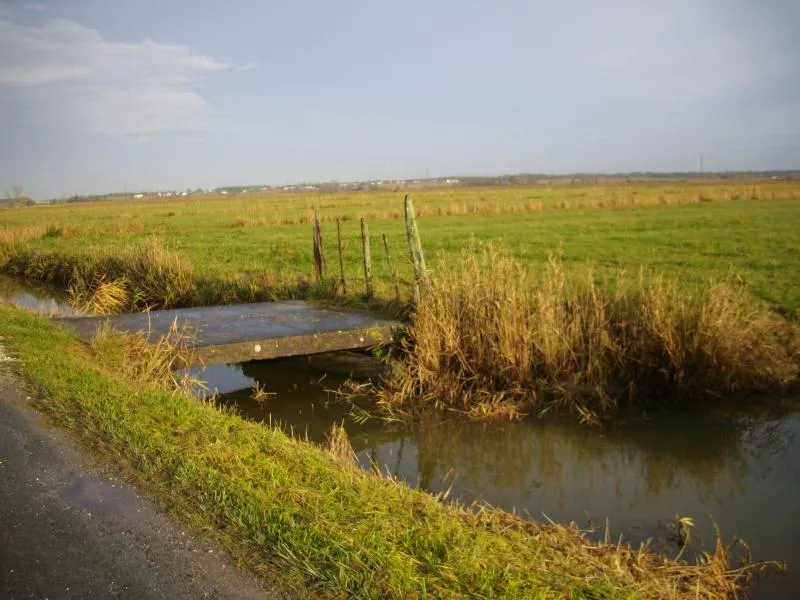 Camping Les Vignes