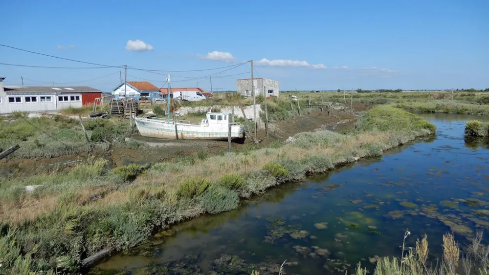 Camping Les Vignes