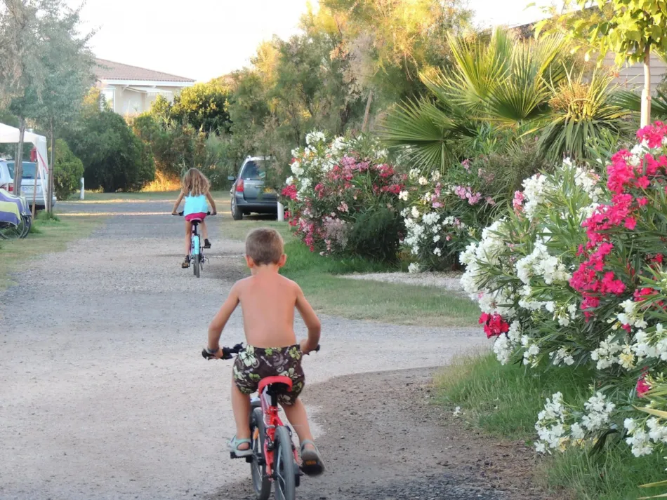 Camping La Pépinière