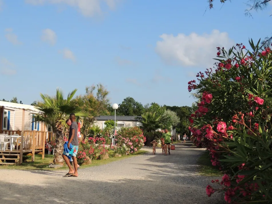 Camping La Pépinière
