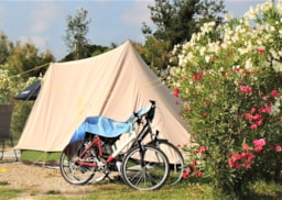 Kampeerplaats(en) - Pakke: Standplads  + Telt  2 Pers  +Wifi - Camping La Pépinière
