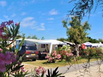 Stellplatz - Stellplatz Confort + Strom 10A - Camping La Pépinière
