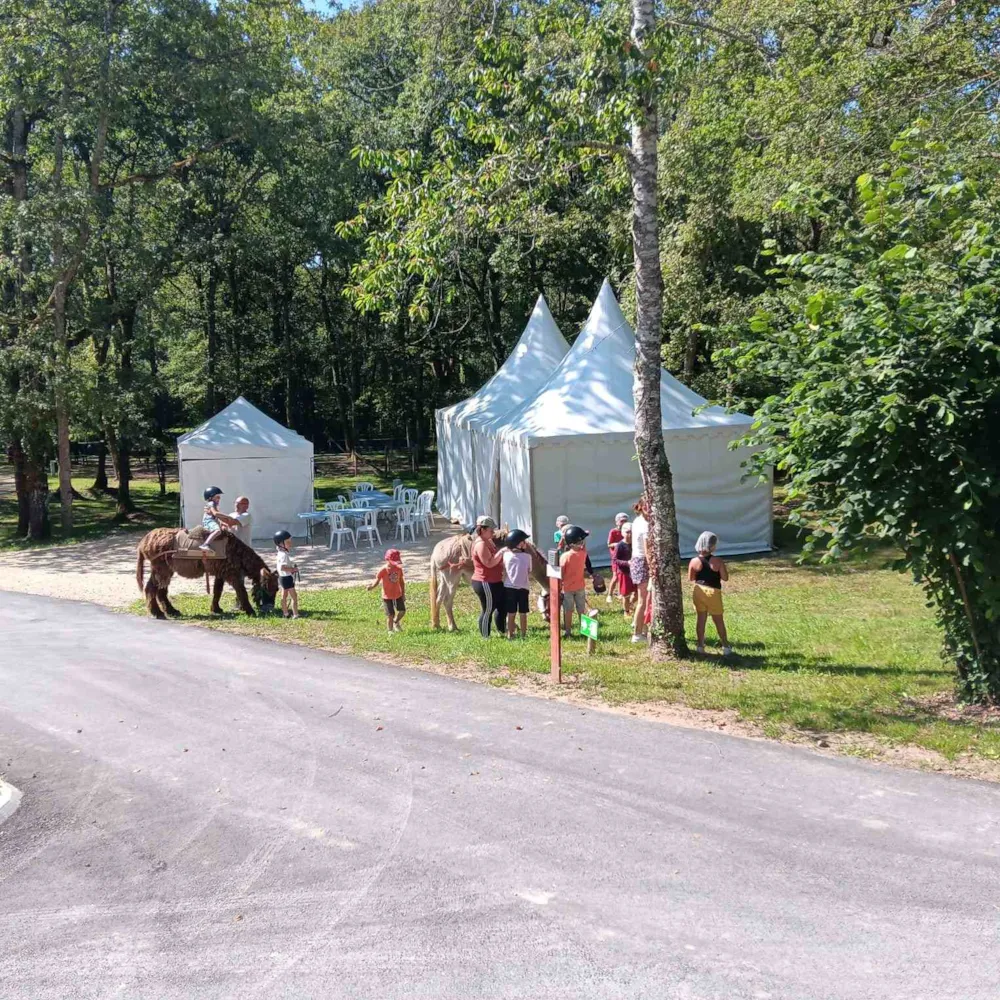 Camping du Lac De Neufont