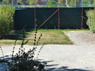 Pitch — 2