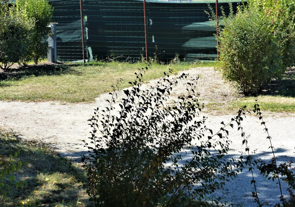 Emplacement - Emplacement - Camping le Pontis