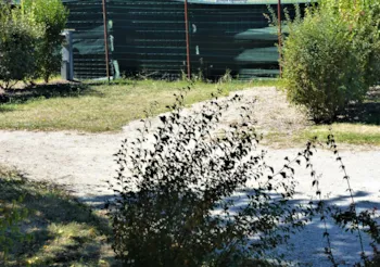 Stellplatz - Stellplatz - Camping le Pontis