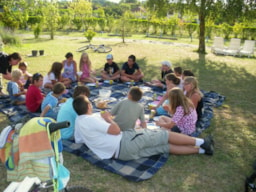 Camping le Pontis - image n°16 - Roulottes